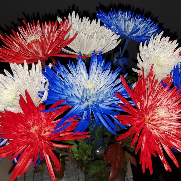 Meet your Posher, Cari - Picture 1 of 1